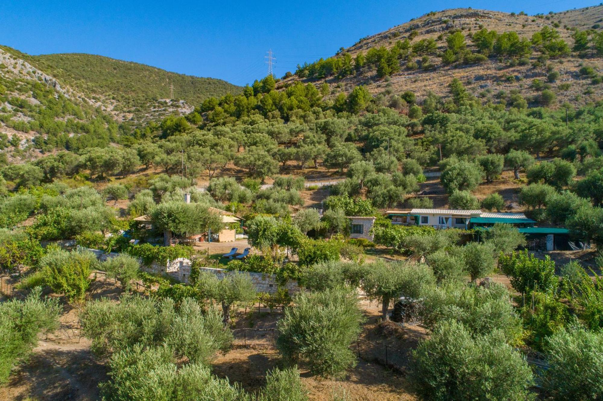 Liodentro - Olea Villa Plataria Exteriör bild