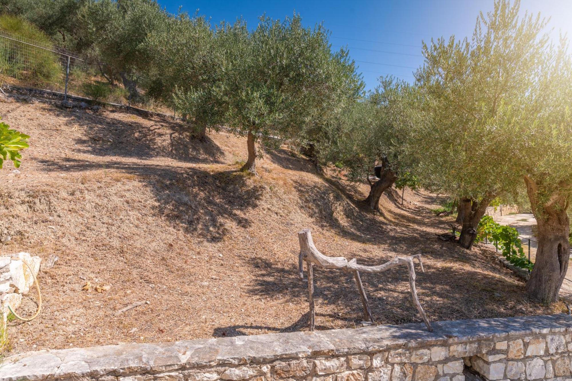 Liodentro - Olea Villa Plataria Exteriör bild
