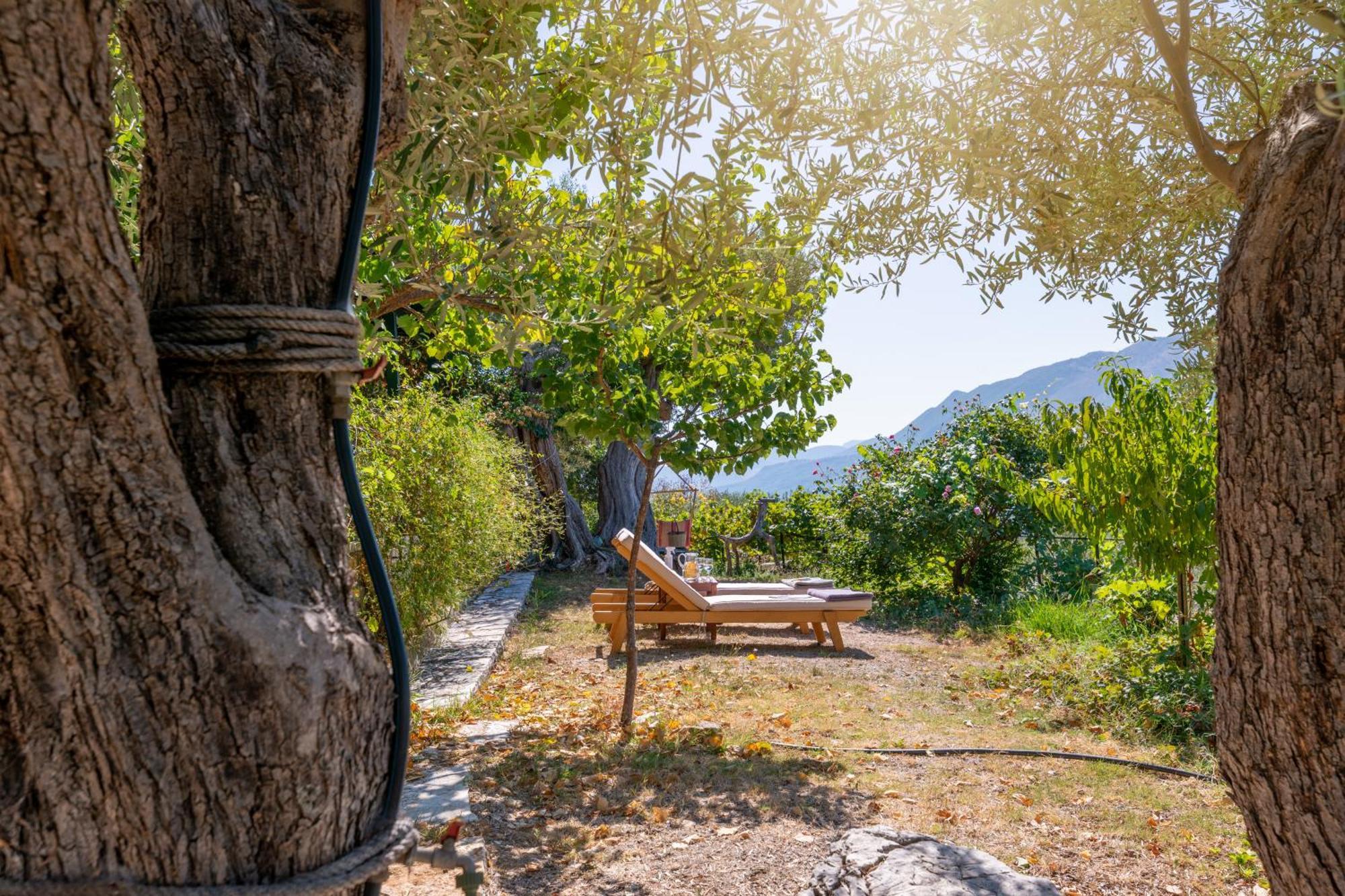 Liodentro - Olea Villa Plataria Exteriör bild
