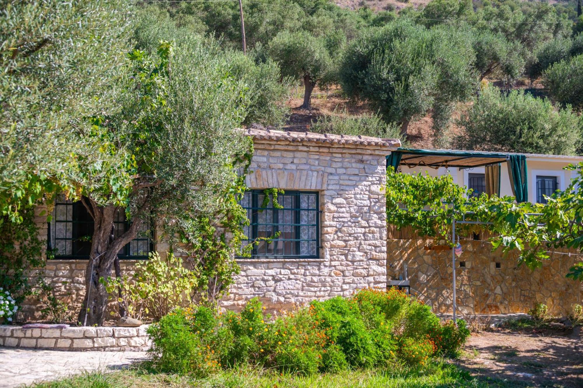 Liodentro - Olea Villa Plataria Exteriör bild