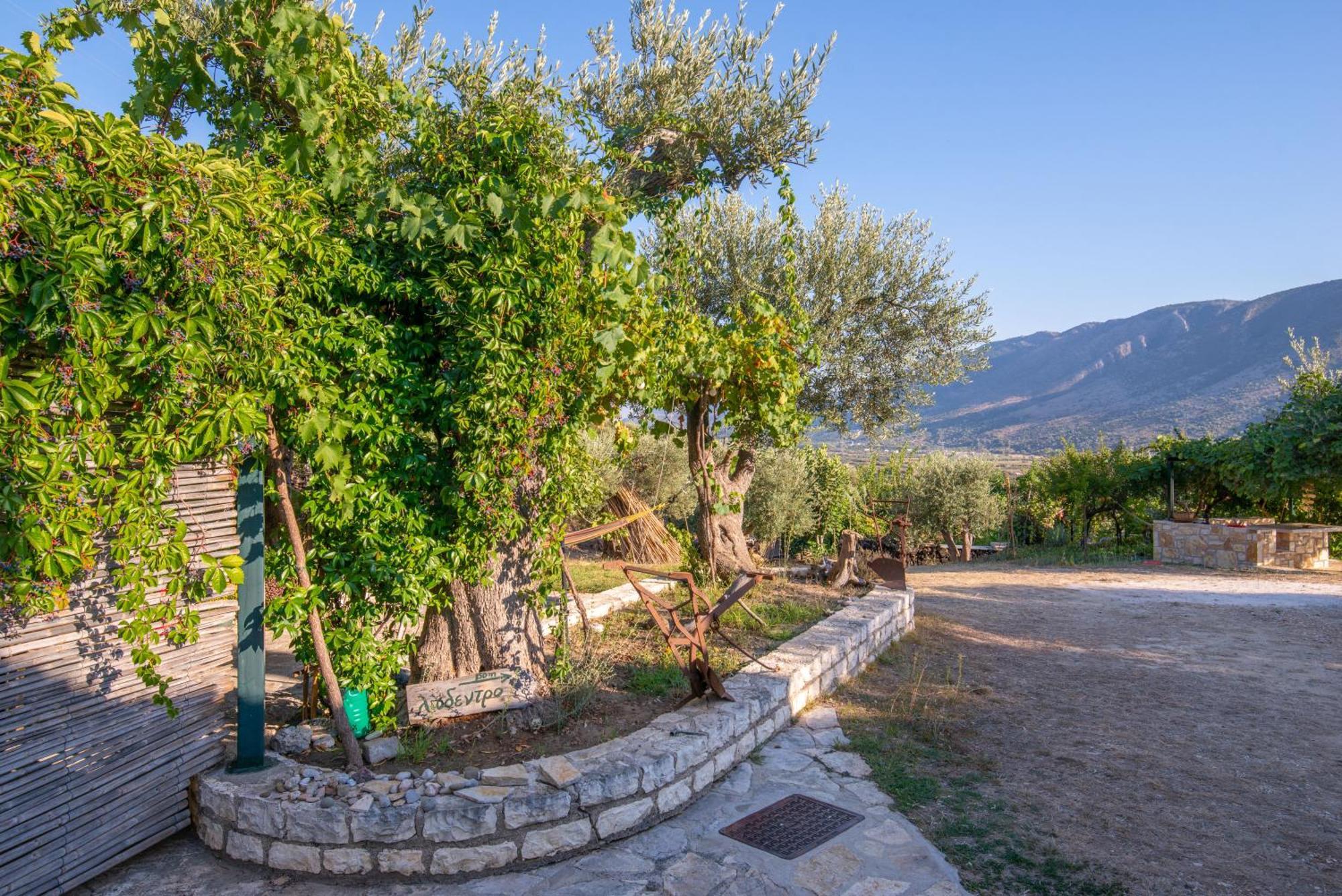 Liodentro - Olea Villa Plataria Exteriör bild