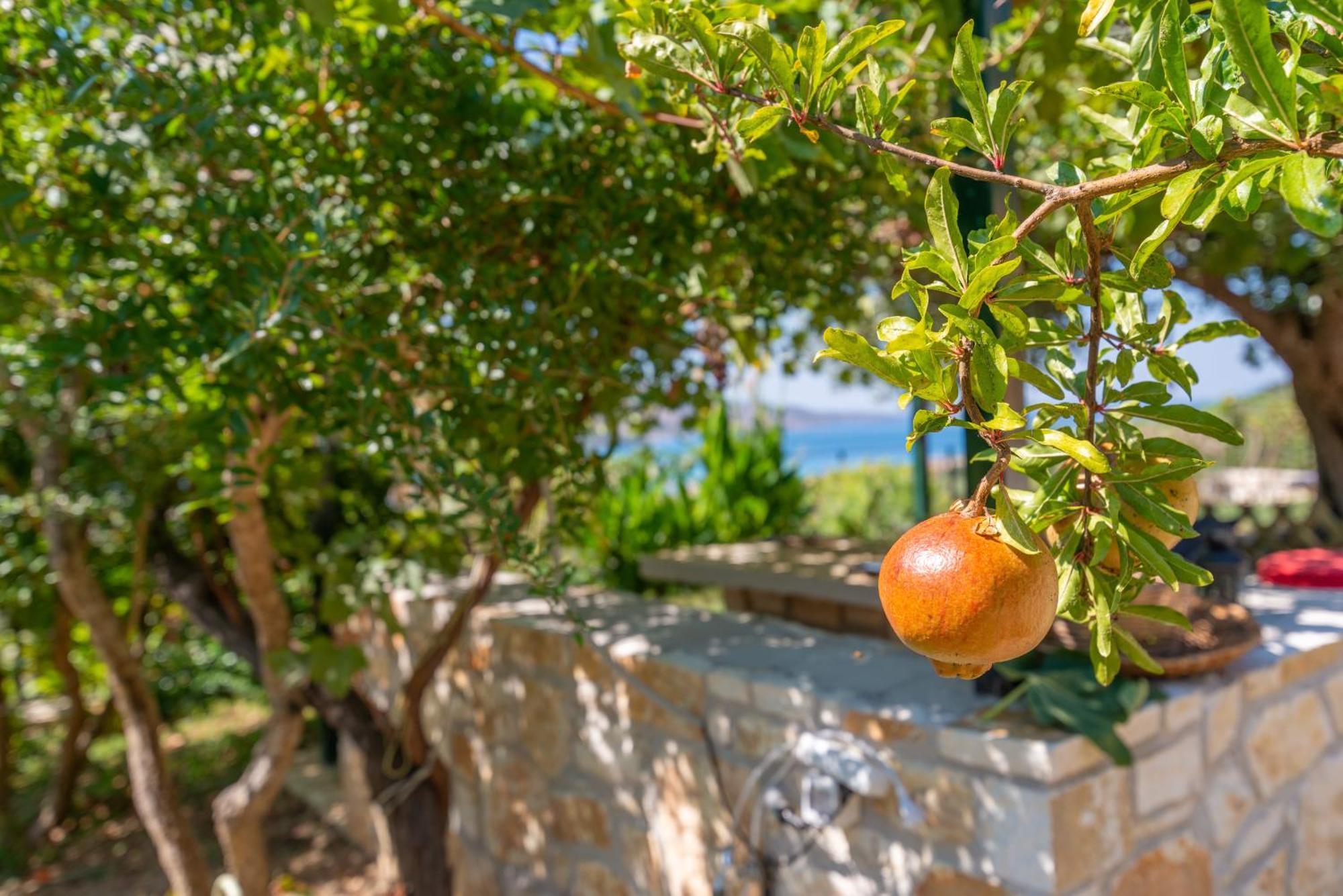 Liodentro - Olea Villa Plataria Exteriör bild