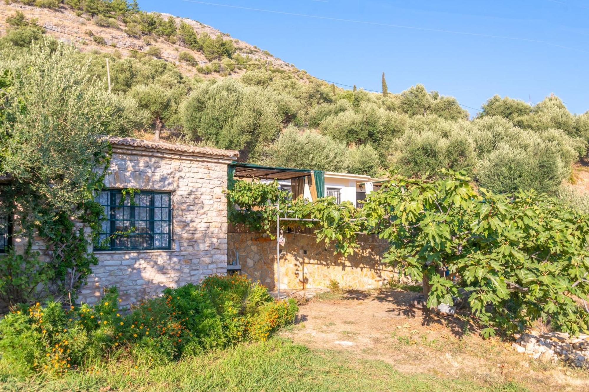Liodentro - Olea Villa Plataria Exteriör bild