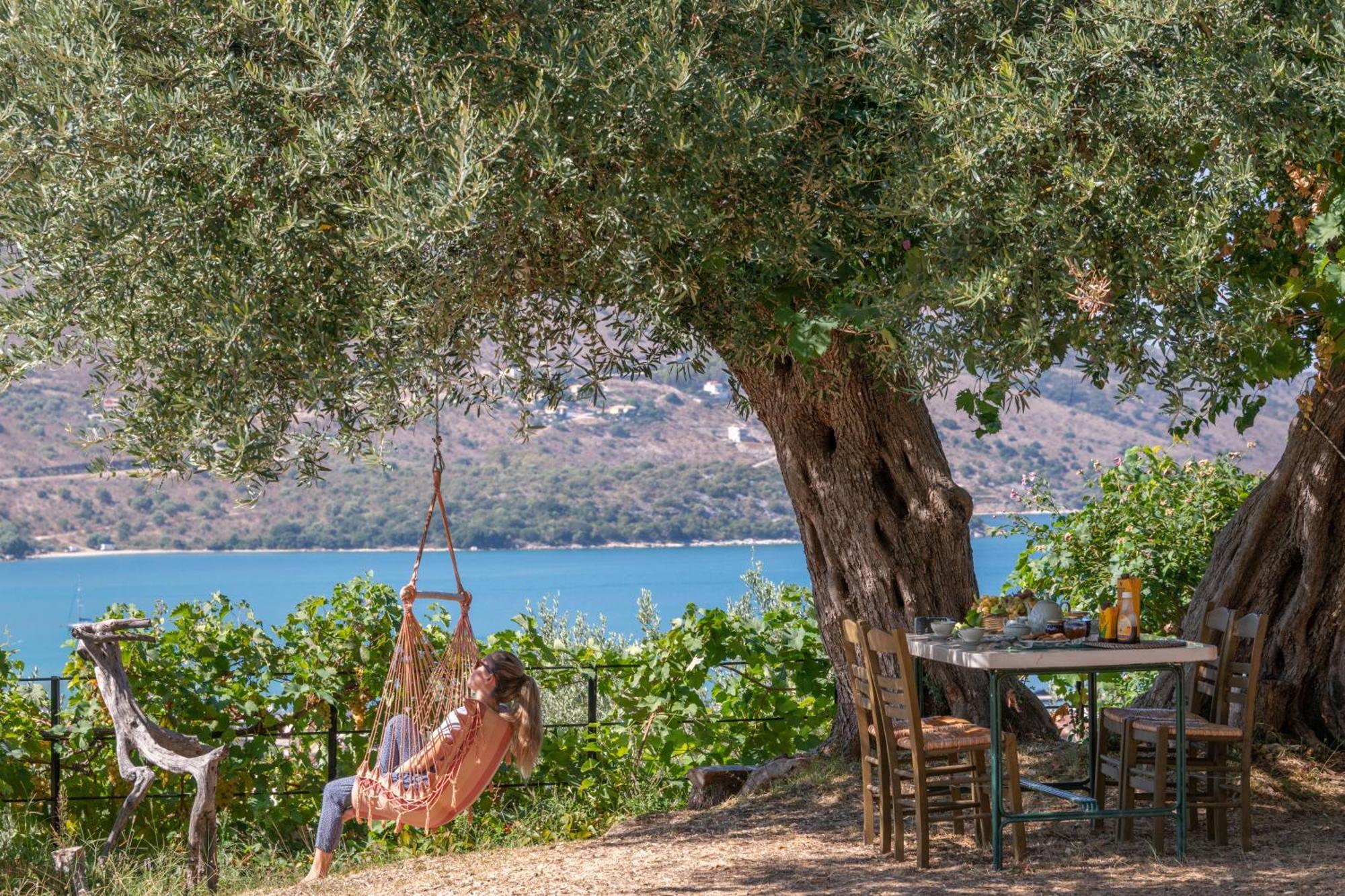 Liodentro - Olea Villa Plataria Exteriör bild