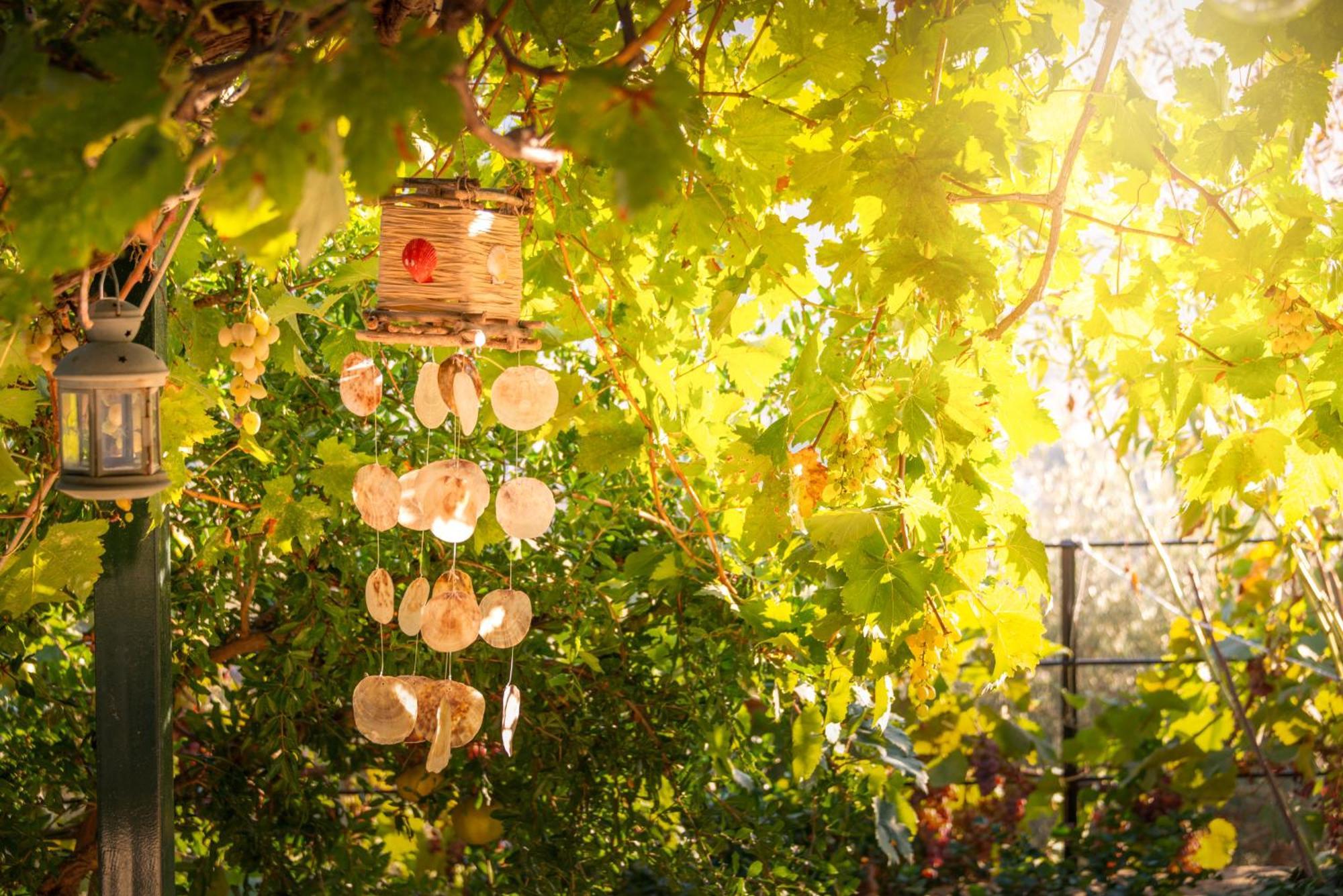 Liodentro - Olea Villa Plataria Exteriör bild